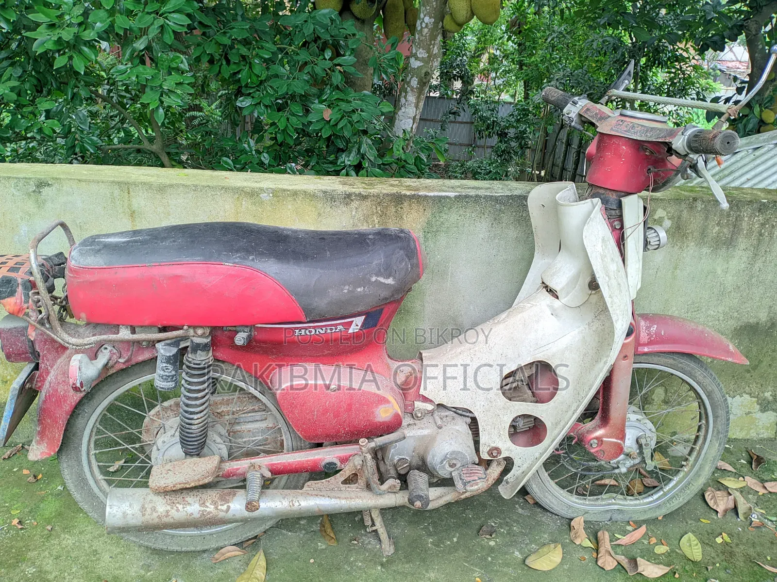 হোন্ডা ২০২৫ লাল