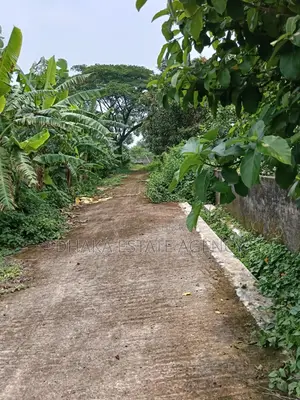 75 Feet Road 5 Katha Sector-15
