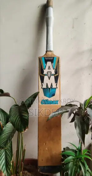 Am Climax Vintage Cricket Bat