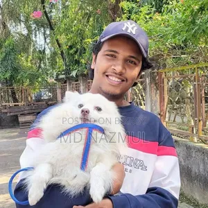 6-12 months Male Mixed Breed Lhasa Apso