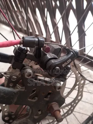Cycle No Work Needed All Ok