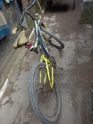 সাইকেল সব ঠিক আছে।