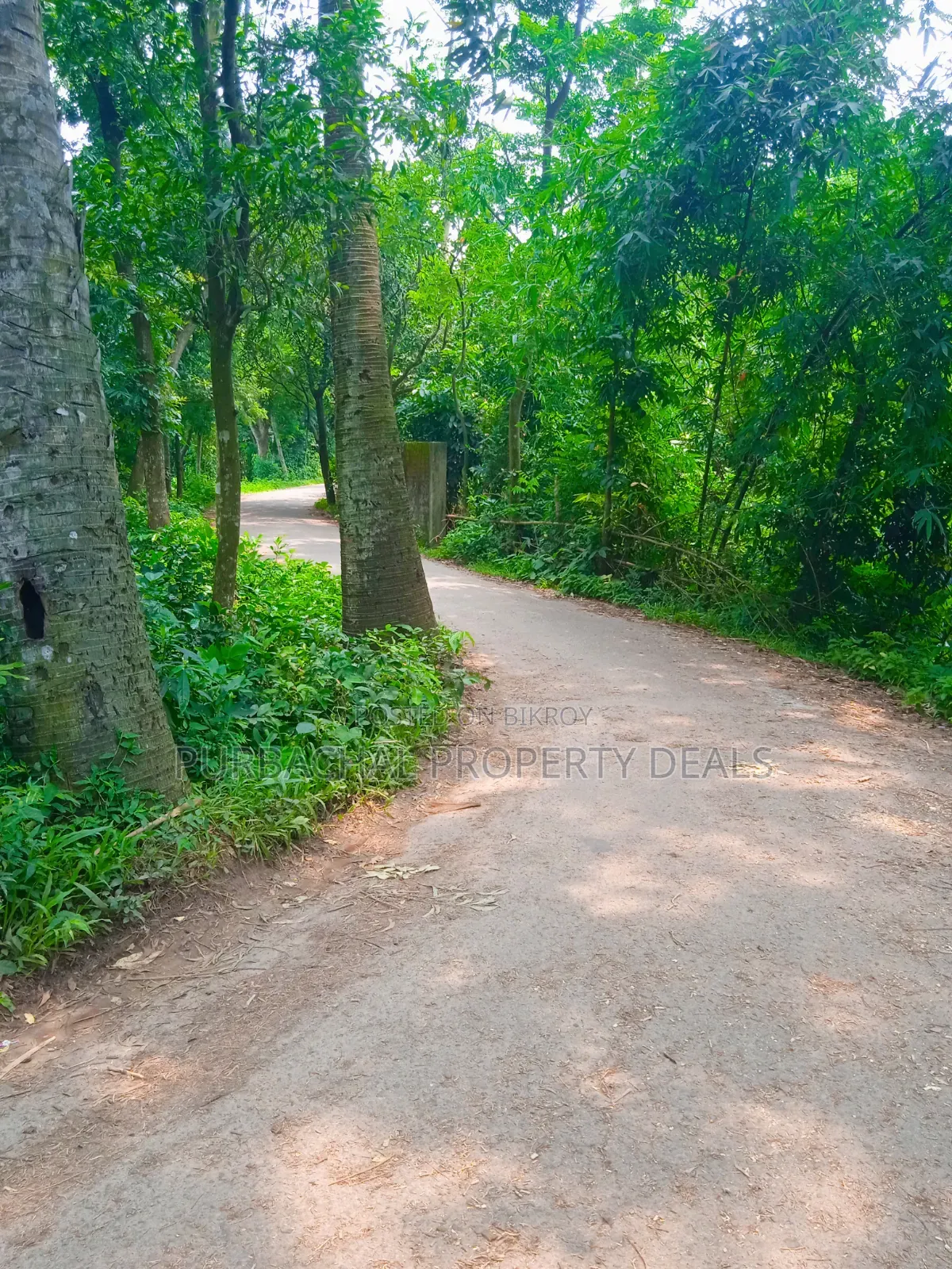 20 Katha Premium Land for Sale in Nagari Union, Kaliganj