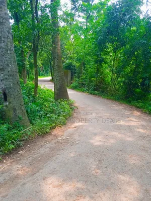20 Katha premium land for sale in Nagari Union, Kaliganj