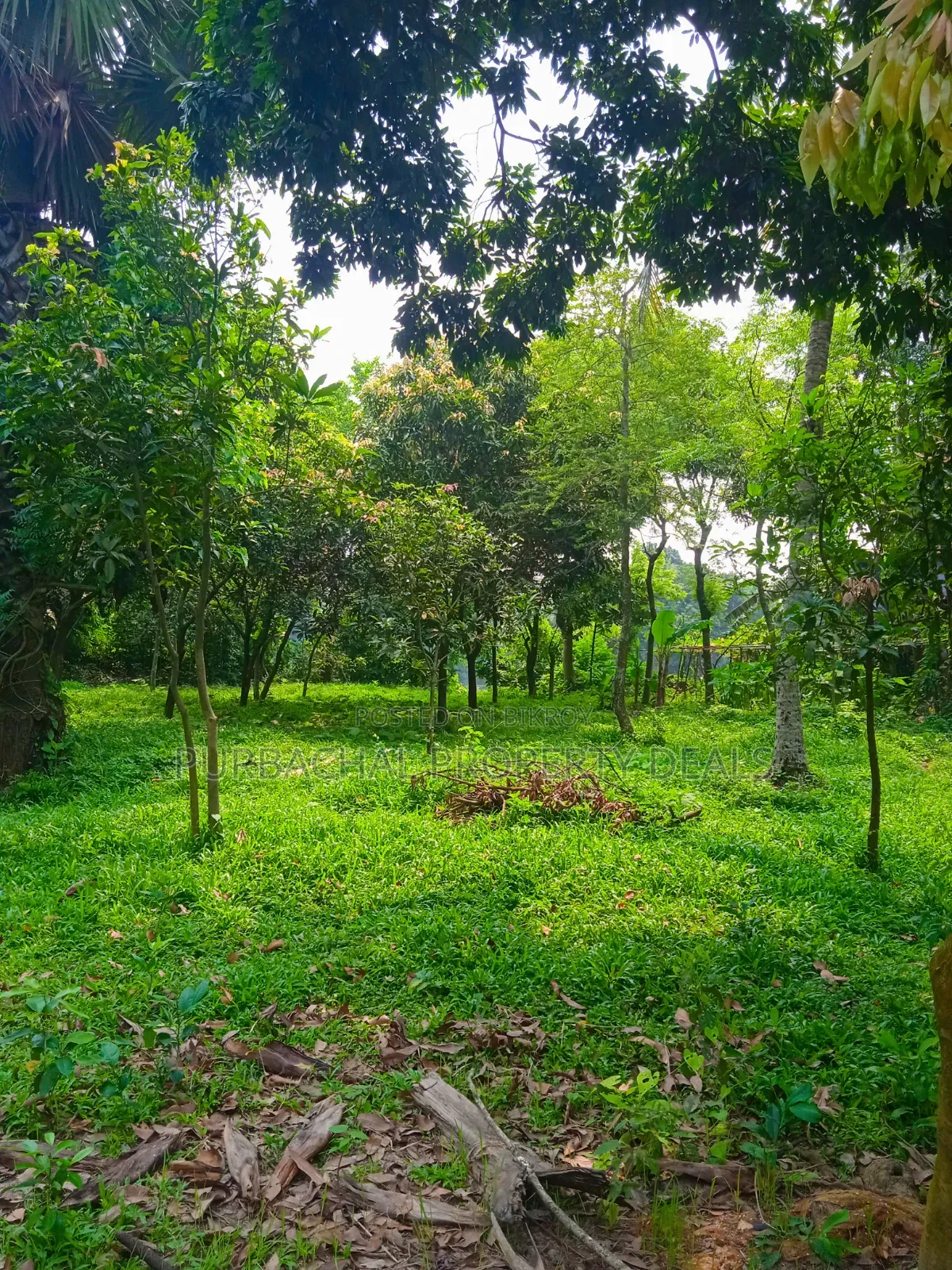 20 Katha Premium Land for Sale in Nagari Union, Kaliganj