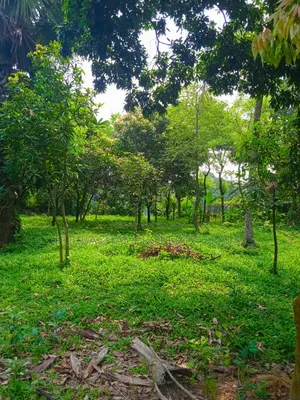 20 Katha Premium Land for Sale in Nagari Union, Kaliganj