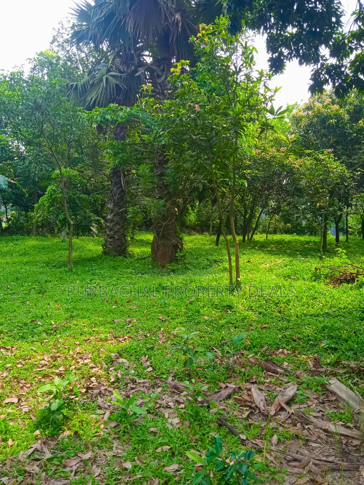 20 Katha Premium Land for Sale in Nagari Union, Kaliganj