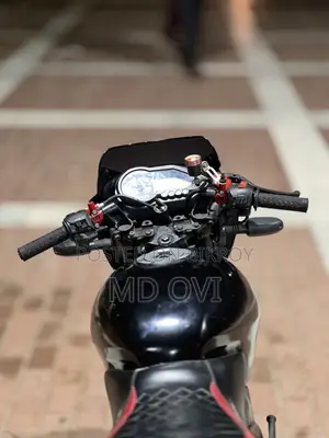 Bajaj Pulsar 2009 Black