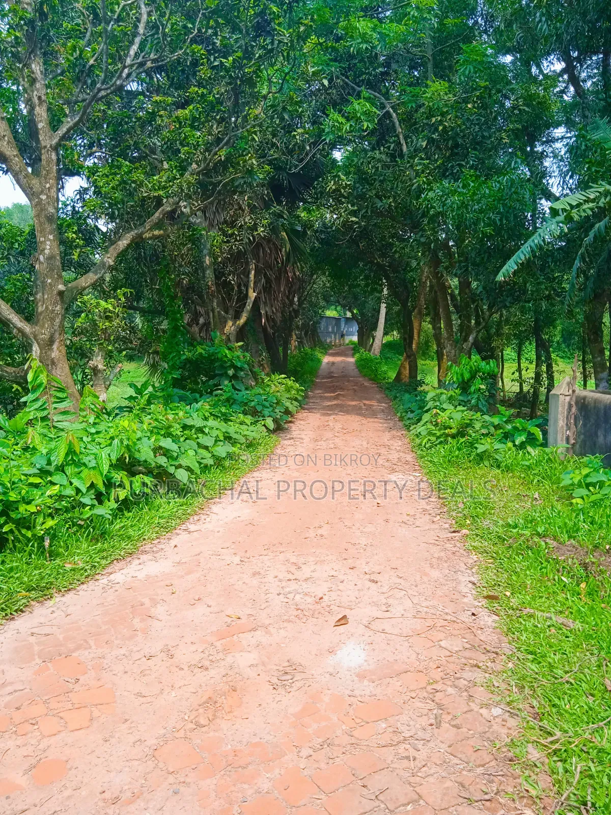 20 Katha Premium Land for Sale in Nagari Union, Kaliganj