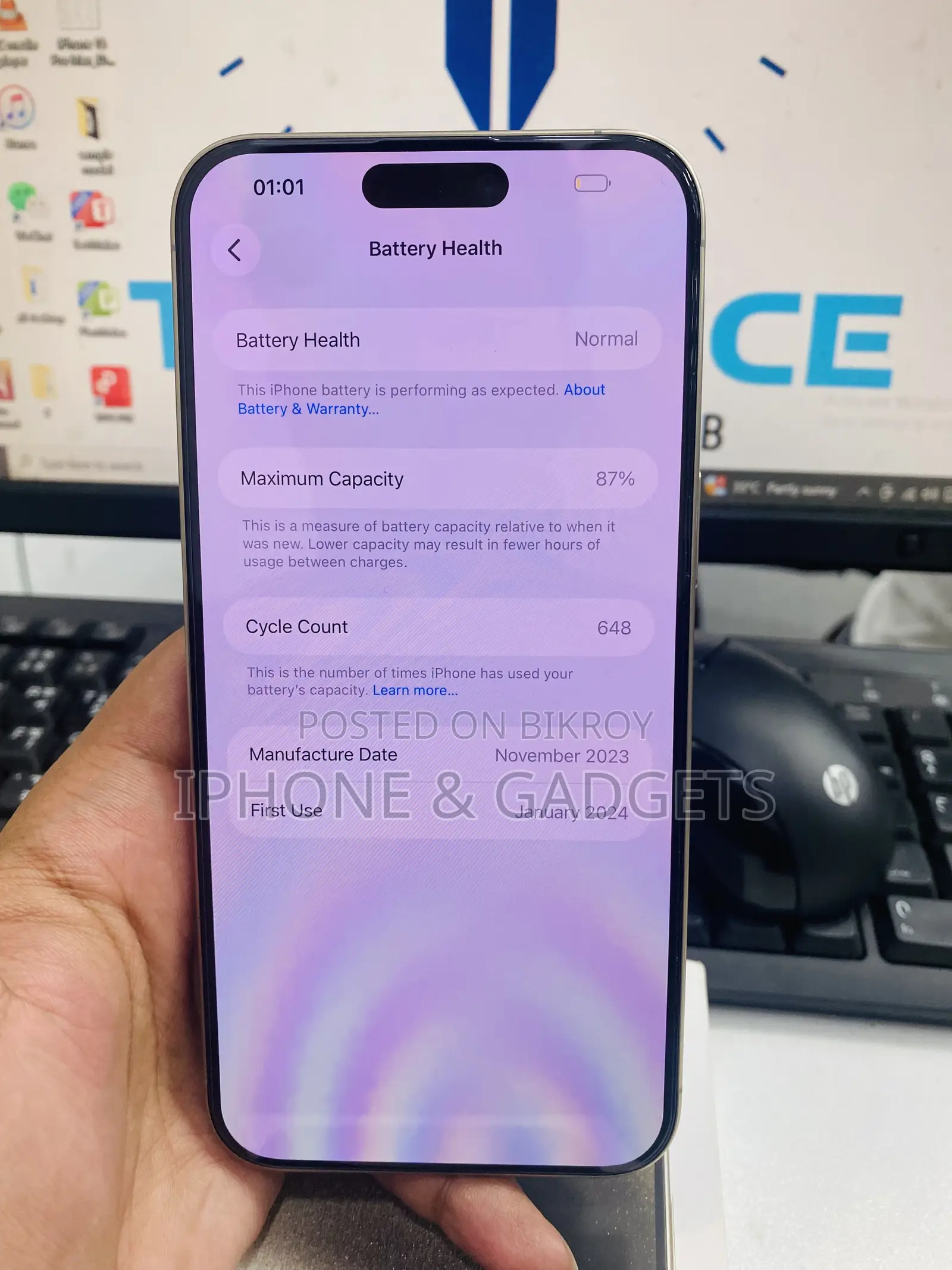 Apple iPhone 15 Pro Max 256 GB Silver