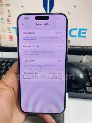 Apple iPhone 15 Pro Max 256 GB Silver