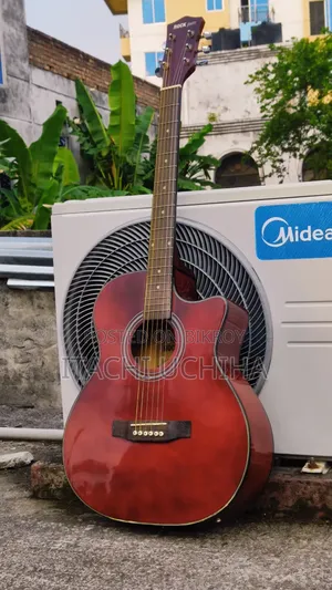 Acoustic-electric Guitar