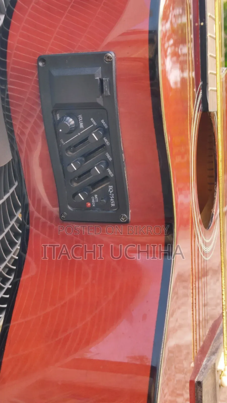 Acoustic-electric Guitar