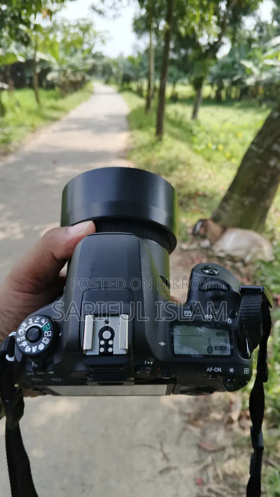 77d With 50mm Prime, No Any Issue. Full Fresh,
