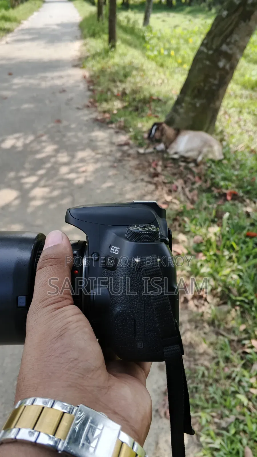 77d With 50mm Prime, No Any Issue. Full Fresh,