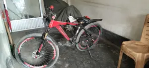 A full fresh bicycle for sale. Contact me if you want to buy it.