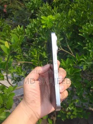 Apple iPhone 14 Pro 256 GB Silver