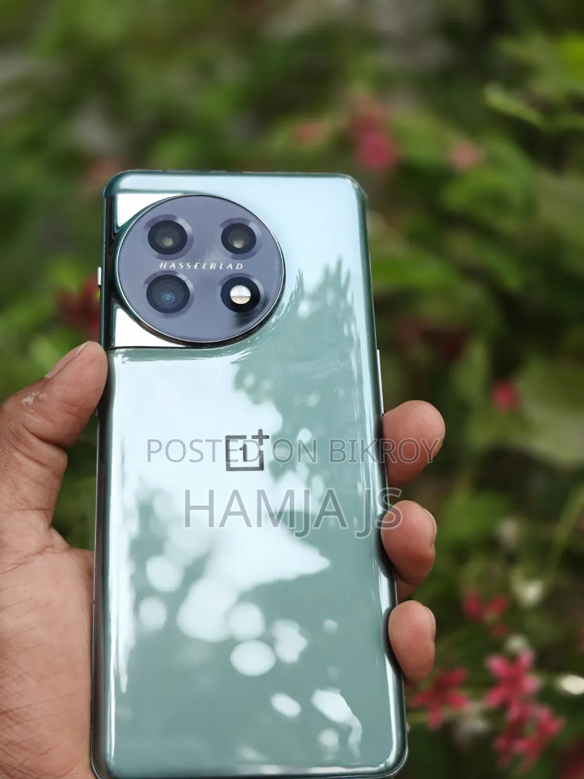 ওয়ানপ্লাস ১১ ২৫৬ জিবি গ্রিন