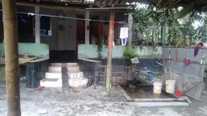 Land for sale with house and trees, 8 decimals