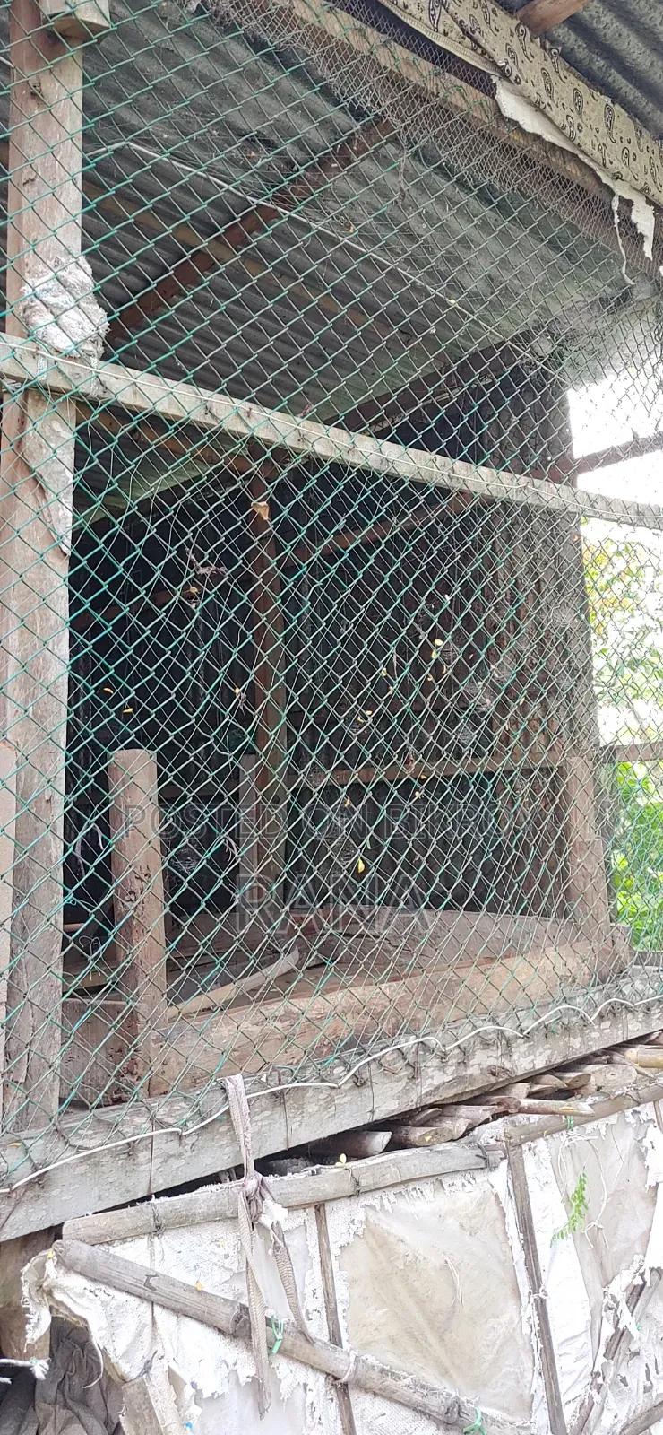 একটি ফার্মের নেট বিক্রি করা হবে