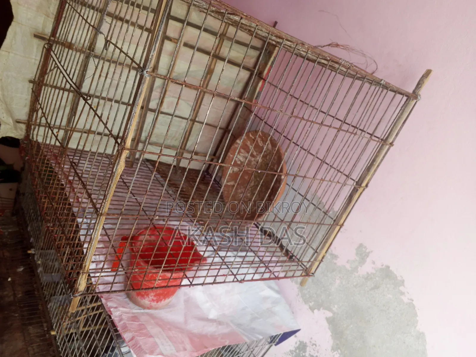 Old Cage