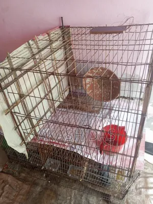 Old Cage