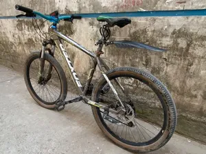 Cycle Phoenix