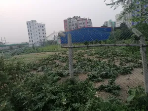 Sale of Land Shares