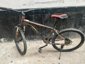 Phoenix Cycle