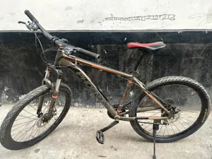 Phoenix Cycle