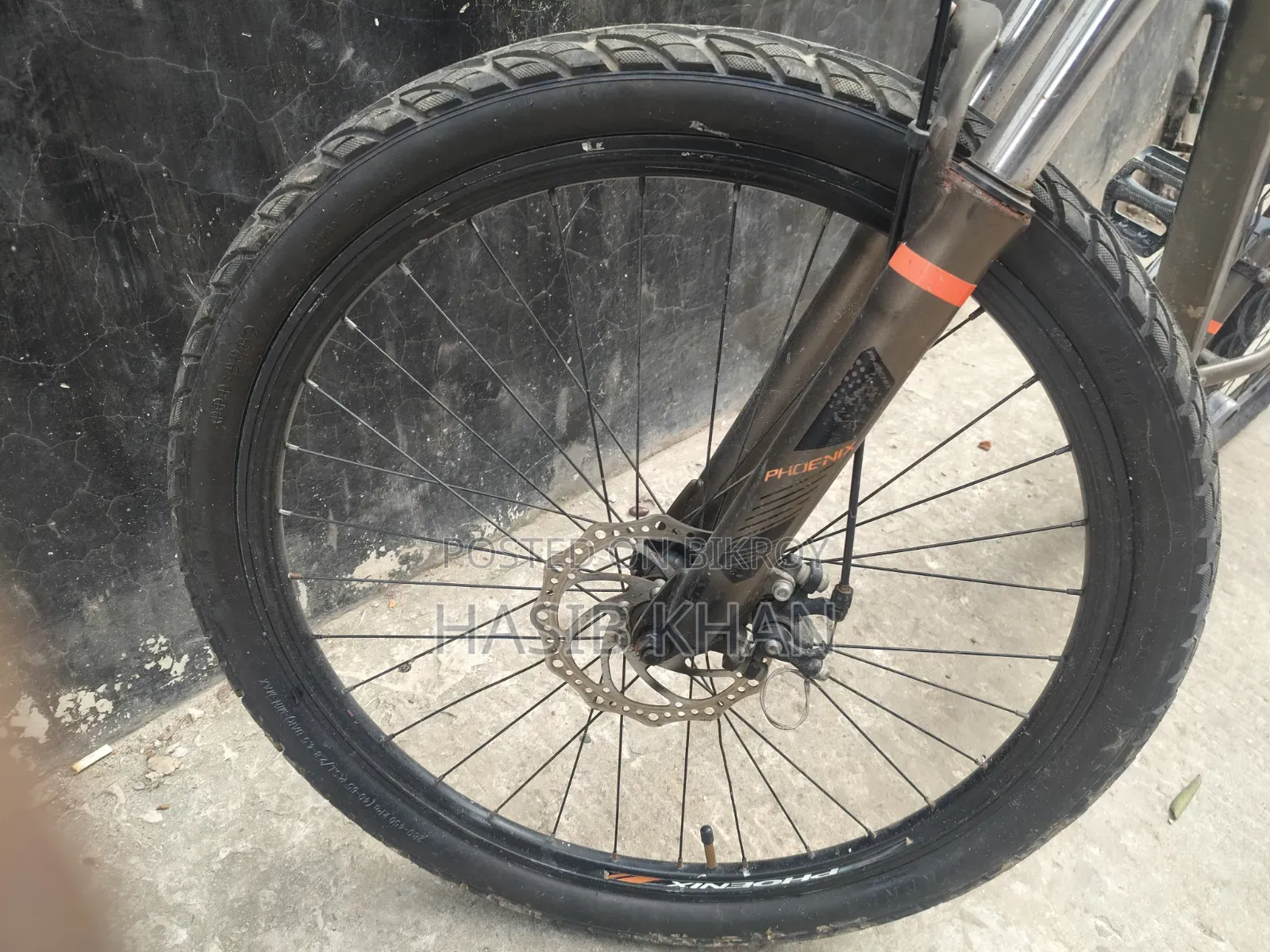 Phoenix Cycle