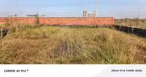 5 কাঠার প্লট বিক্রয় P ব্লক বসুন্ধরা আবাসিক ।