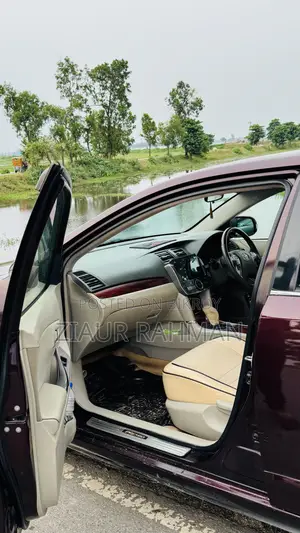 Toyota Premio 2010 Maroon