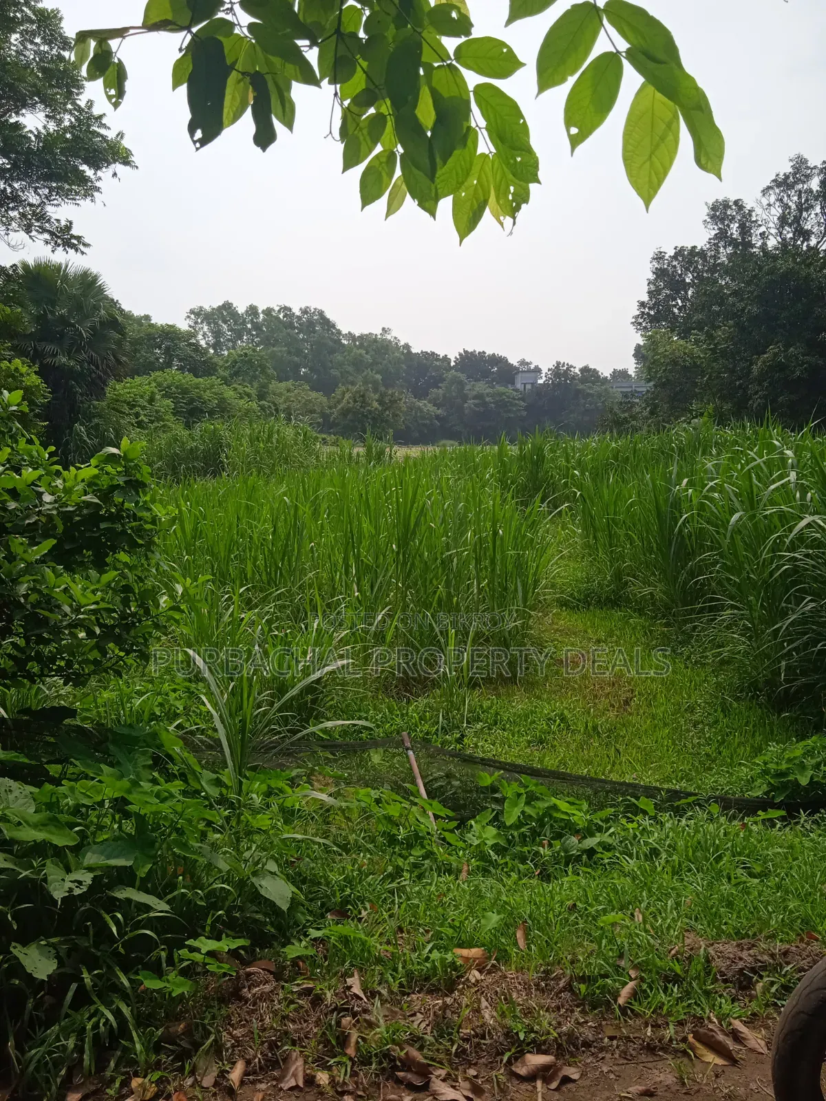 36 Shotangsho Land for Sale Near Purbachal Holiday Resort and 180 Highway