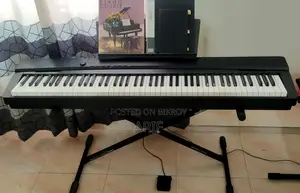 Casio Privia Px135 Hammer Action 88 Keys Touch-Sensitive Digital Piano