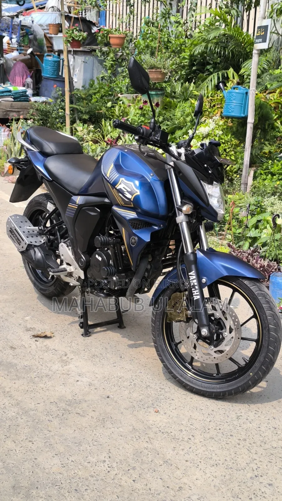 Yamaha FZ6 2024 Blue