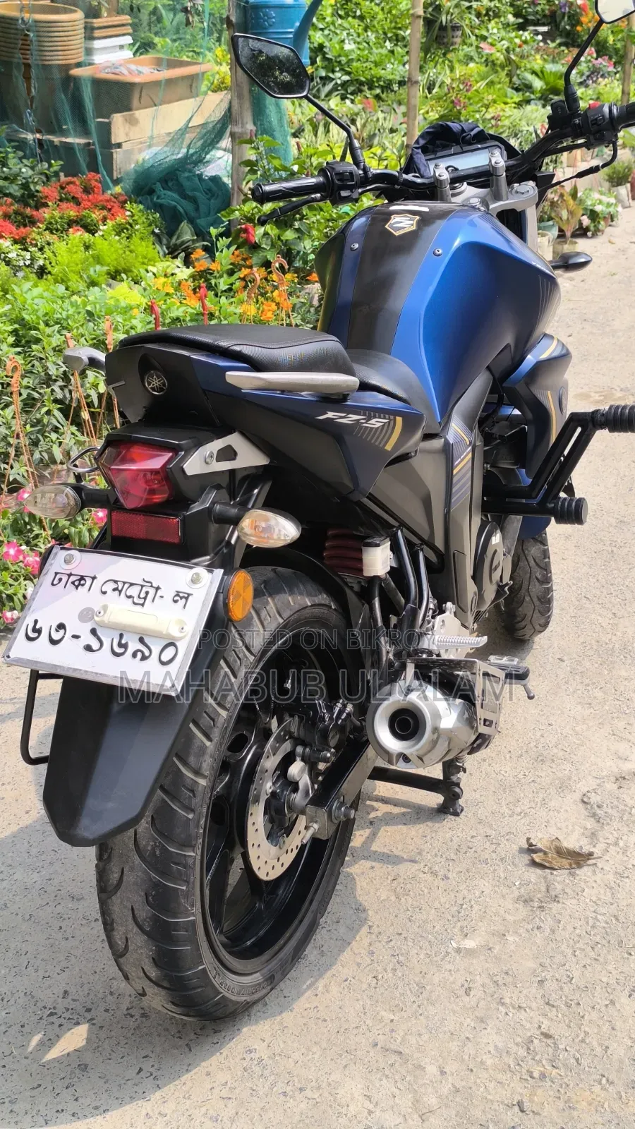 Yamaha FZ6 2024 Blue