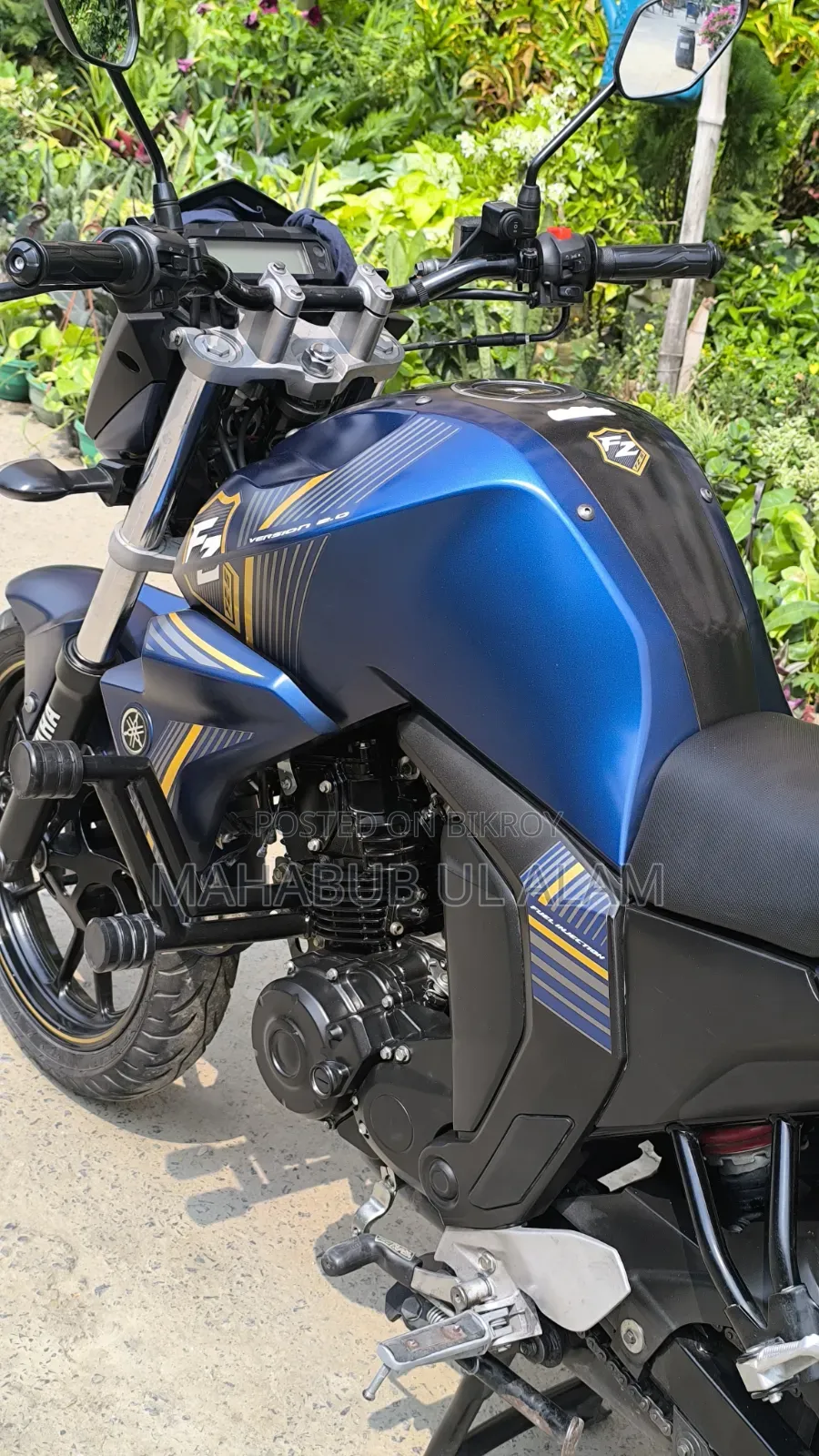 Yamaha FZ6 2024 Blue
