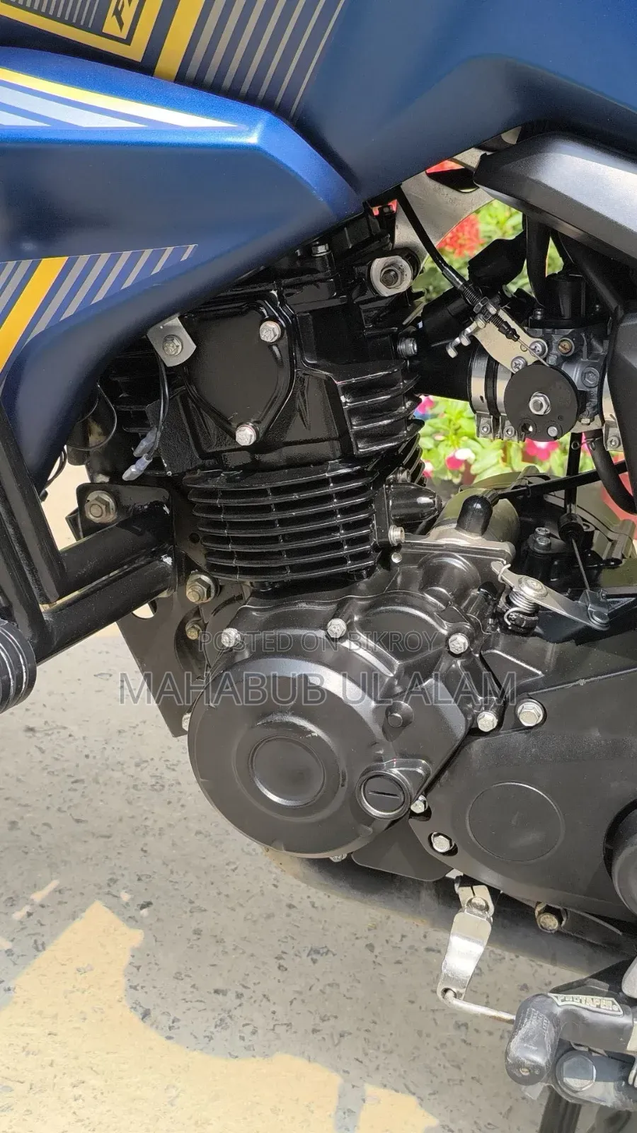 Yamaha FZ6 2024 Blue