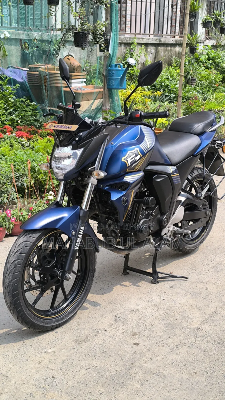 Yamaha FZ6 2024 Blue