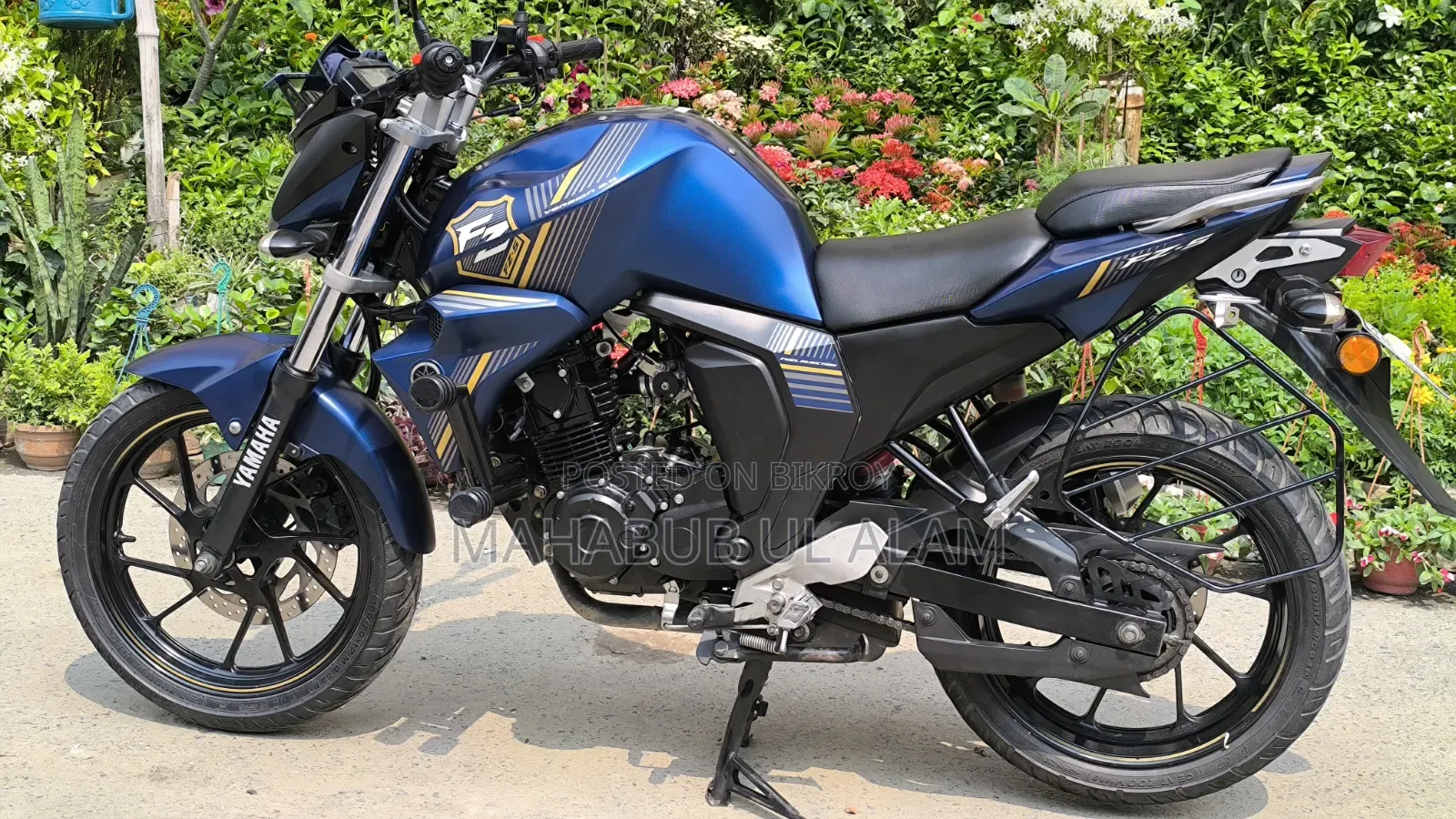 Yamaha FZ6 2024 Blue