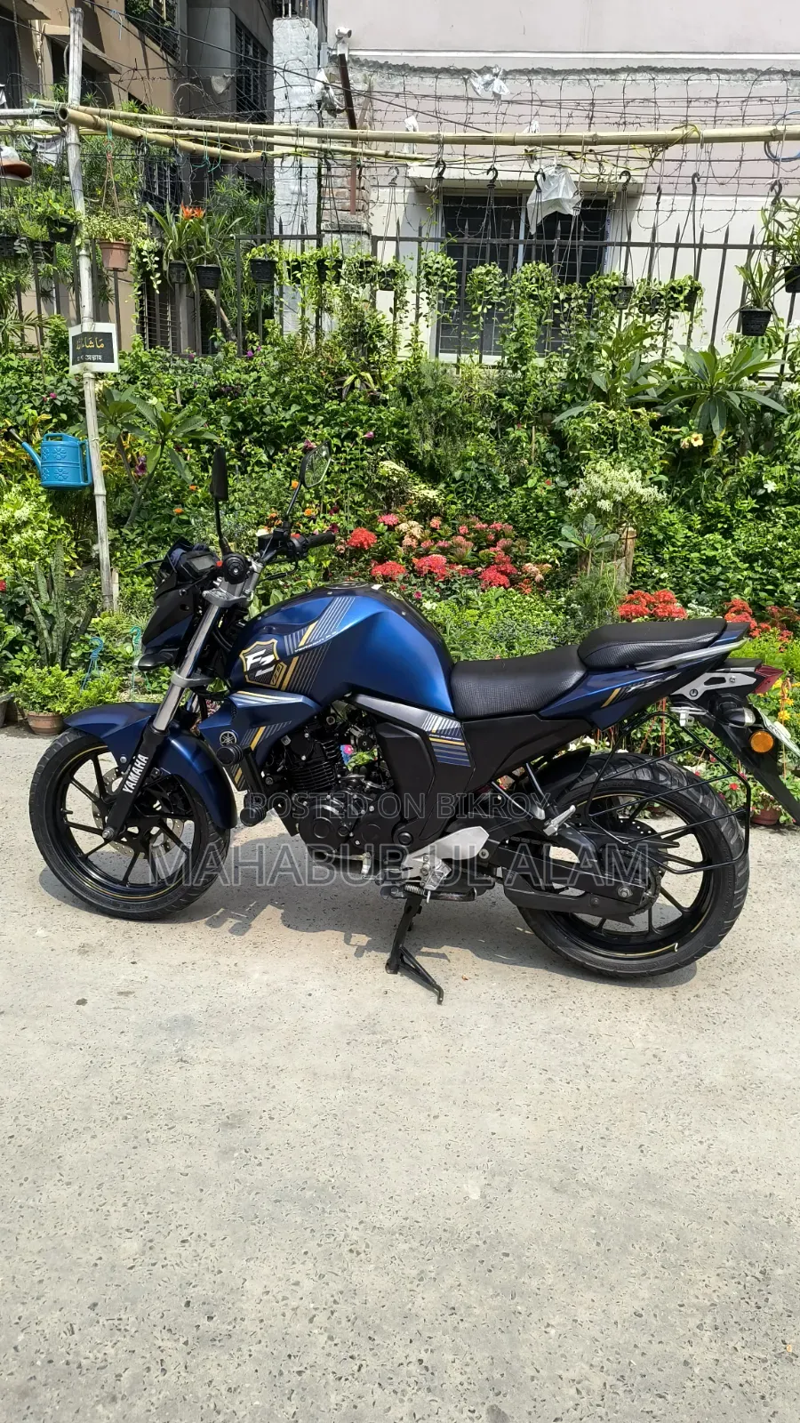 Yamaha FZ6 2024 Blue