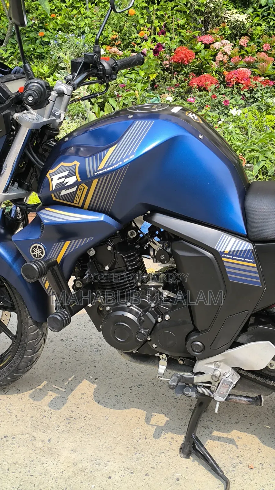 Yamaha FZ6 2024 Blue
