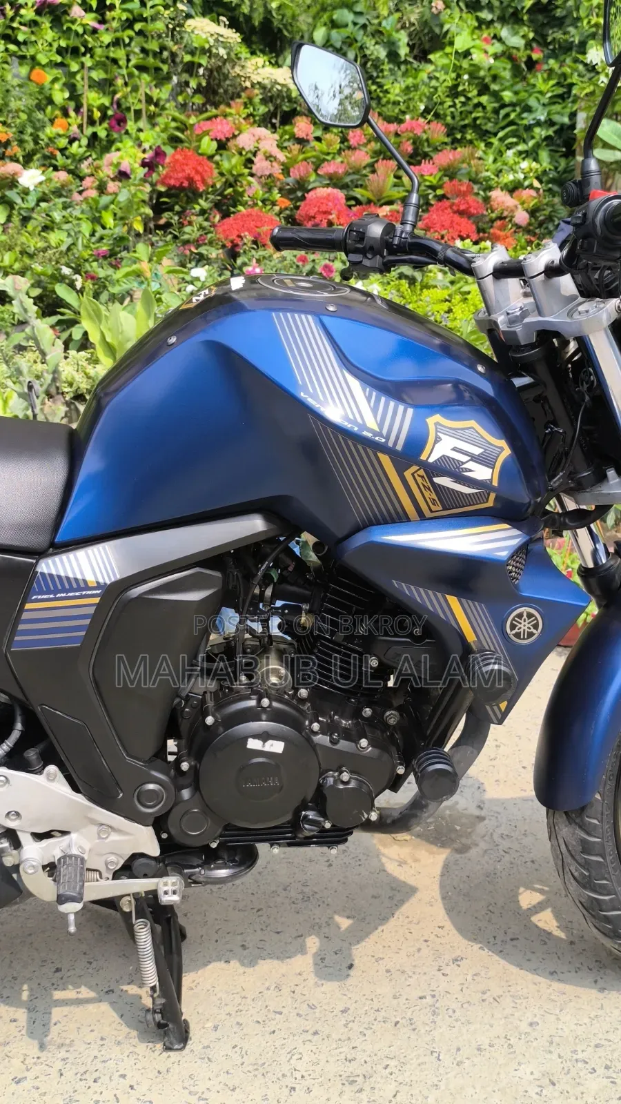 Yamaha FZ6 2024 Blue