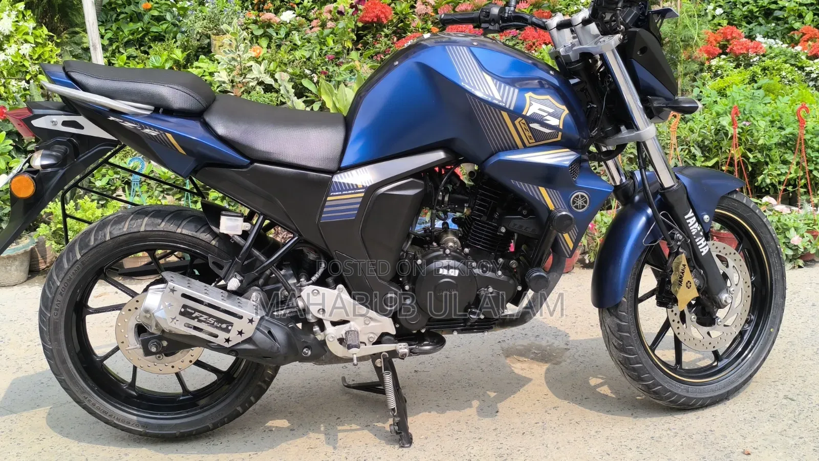 Yamaha FZ6 2024 Blue