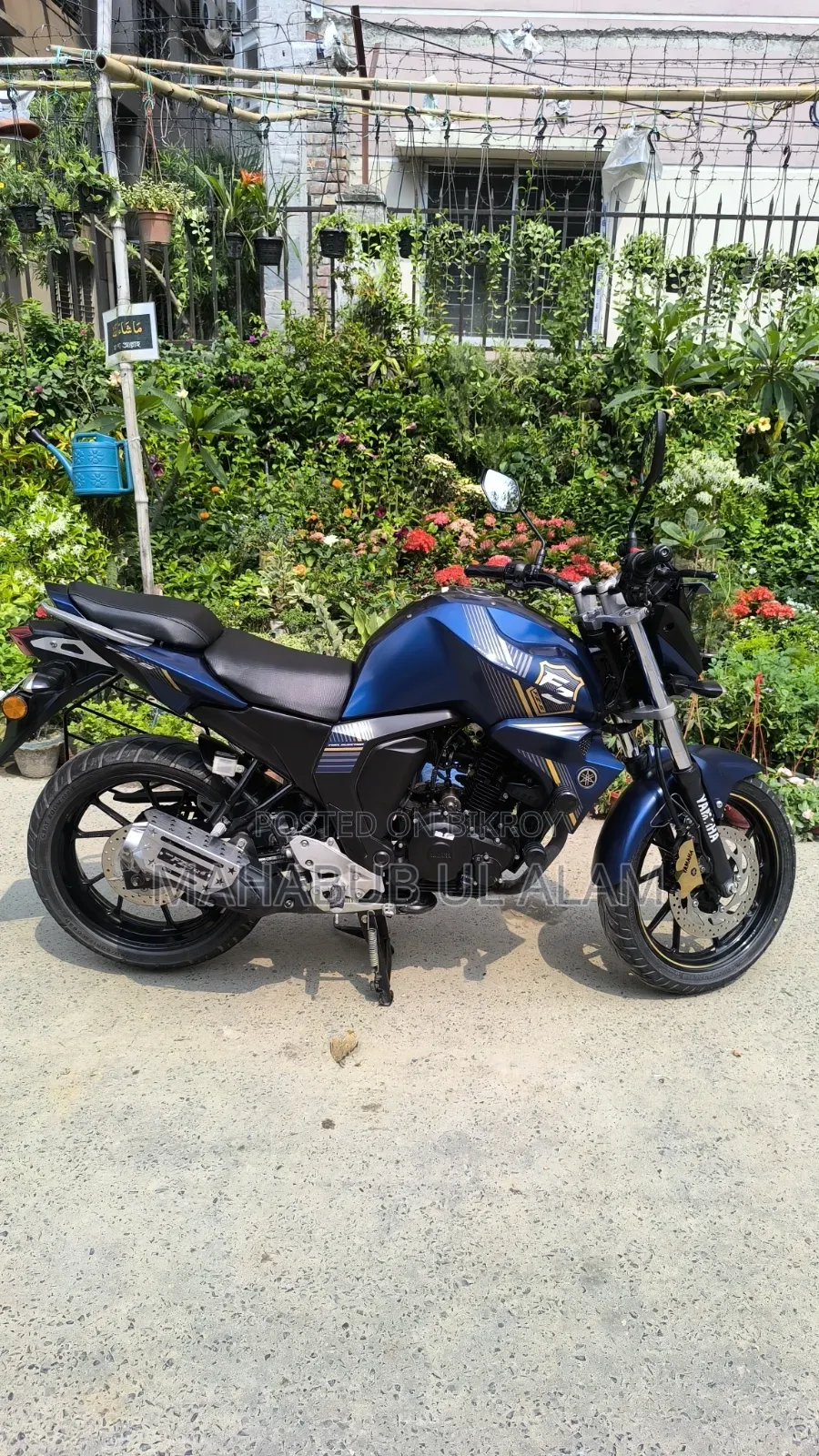Yamaha FZ6 2024 Blue