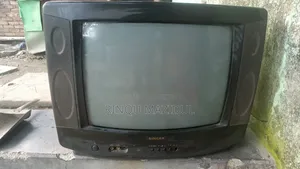 Singer TV