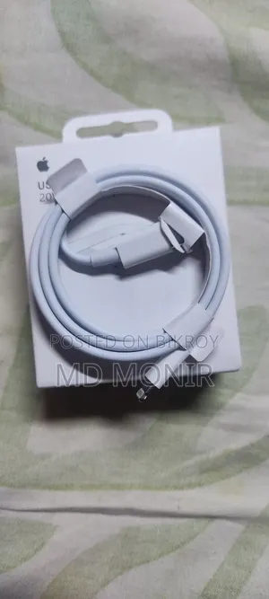 iPhone Charger