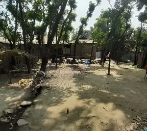 15 Shotok land for sale | 5 minutes from Rangpur Shapla, behind Shotoronggi