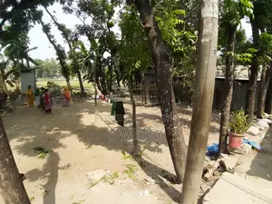১৫ শতক জমি বিক্রয় করা হবে | রংপুর শাপলা থেকে ৫ মিনিট শতরঙ্গীর পিছনে